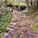 Avó Zizi Villa
