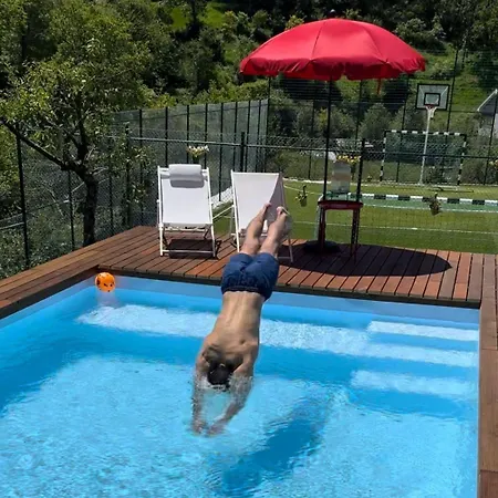 Avo Zizi