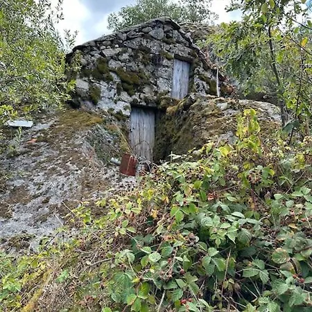 Avo Zizi Villa *